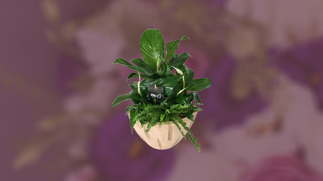 Flower Creations